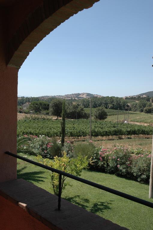 Agriturismo Pian dei Pini Montiano  Exterior foto