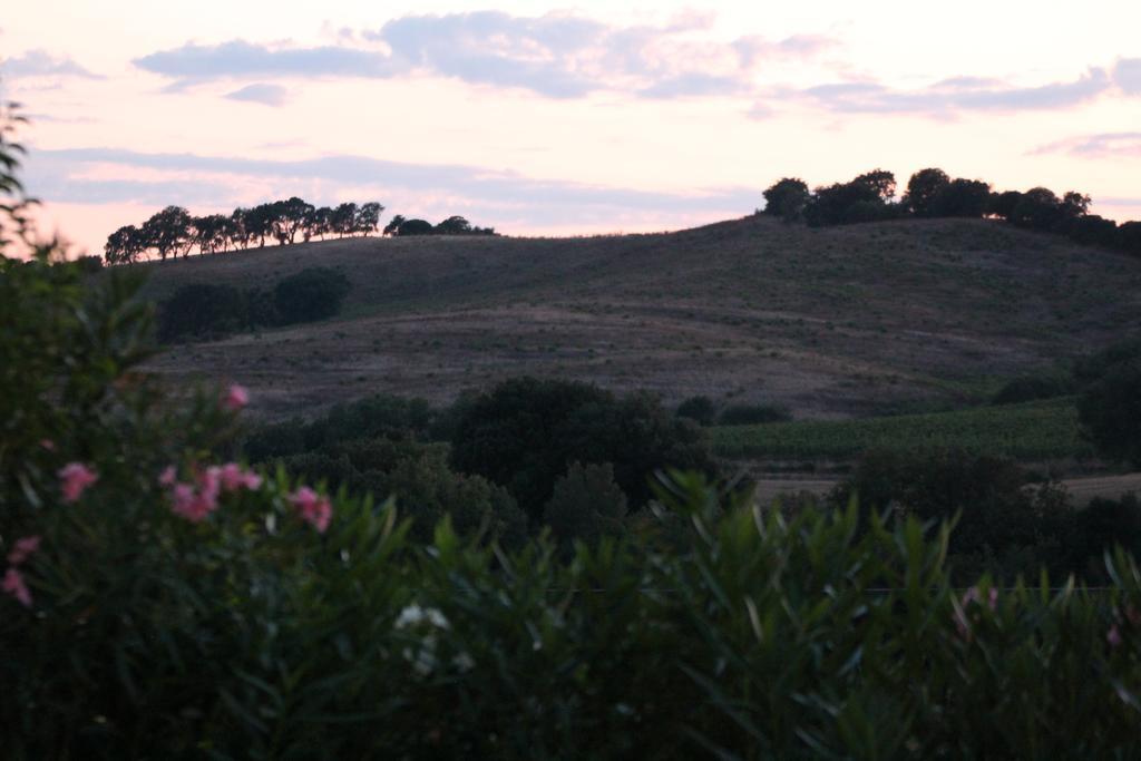 Agriturismo Pian dei Pini Montiano  Exterior foto