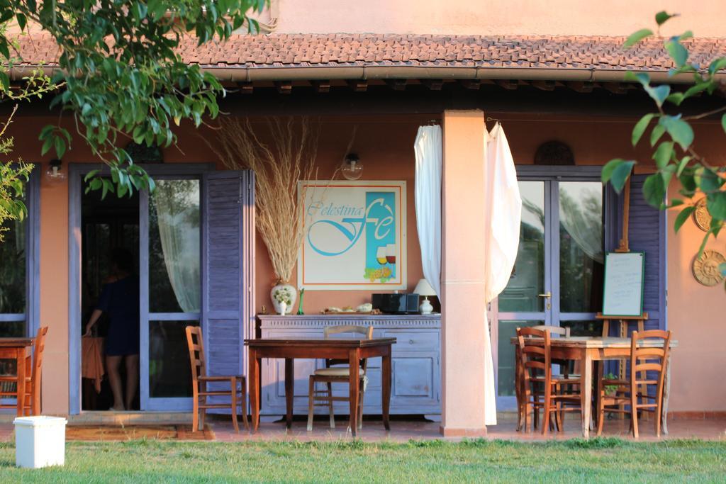 Agriturismo Pian dei Pini Montiano  Exterior foto